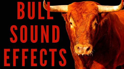 dreamy bull soundboard|Dreamy Bull Sounds and Sound Effects